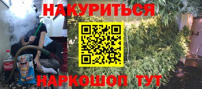 соль ск Новозыбков