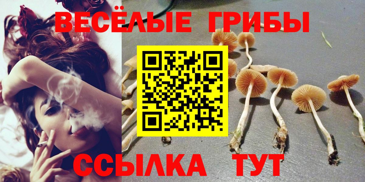 Псилоцибиновые грибы Magic Shrooms  Вход с VPN  Советский 